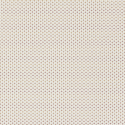 CLARKE AND CLARKE - F1620/07 - PAVO - Fabric By the Yard