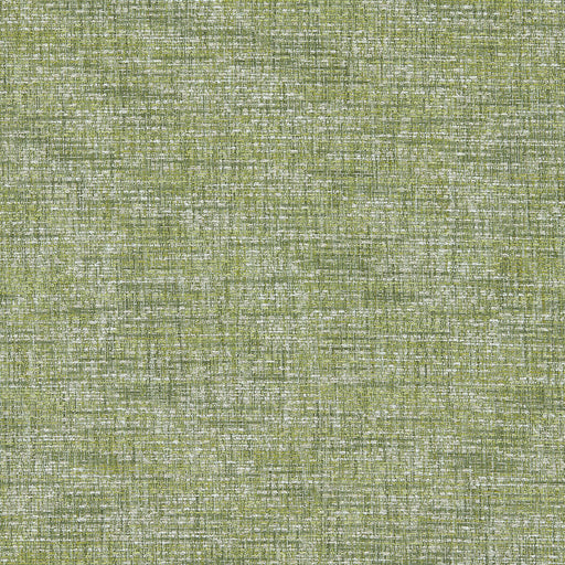 CLARKE AND CLARKE - CETARA- CITRUS - Fabric by the Yard CITRUS