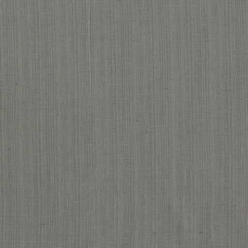 CLARKE AND CLARKE - F1665/02 - REMO - Fabric By the Yard