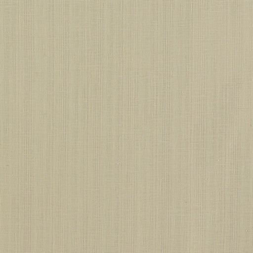 CLARKE AND CLARKE - F1665/05 - REMO - Fabric By the Yard