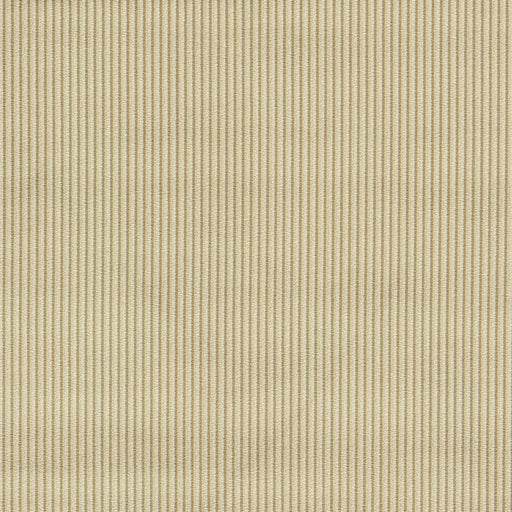 CLARKE AND CLARKE - F1688/01 - ASHDOWN - Fabric By the Yard