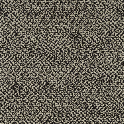 CLARKE AND CLARKE - POKOT- NOIR - Fabric by the Yard NOIR