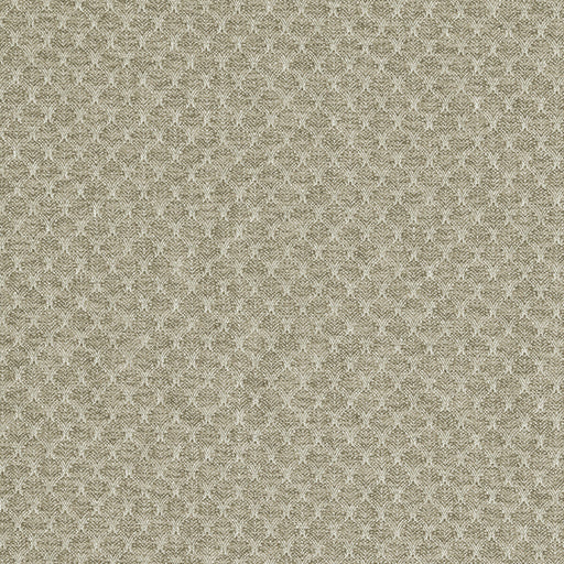 CLARKE AND CLARKE - TRELICA- NATURAL - Fabric by the Yard NATURAL
