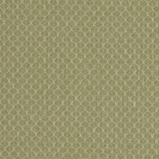 CLARKE AND CLARKE - TRELICA- OLIVE - Fabric by the Yard OLIVE