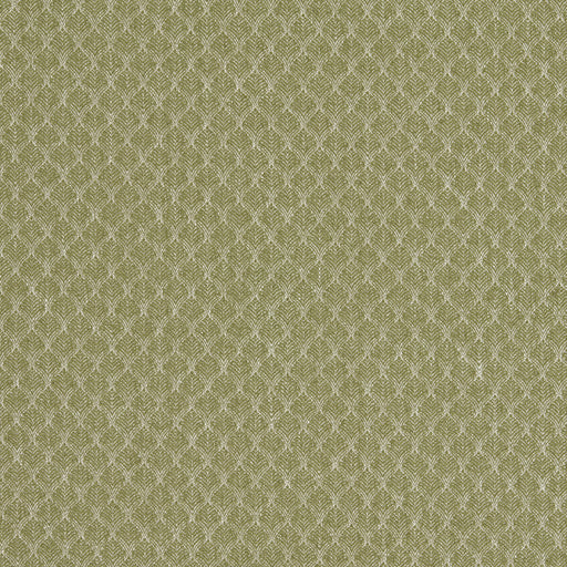 CLARKE AND CLARKE - F1724/04 - TRELICA - Fabric By the Yard