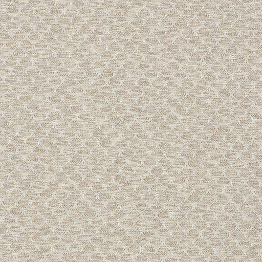 CLARKE AND CLARKE - F1724/05 - TRELICA - Fabric By the Yard