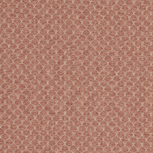 CLARKE AND CLARKE - F1724/06 - TRELICA - Fabric By the Yard