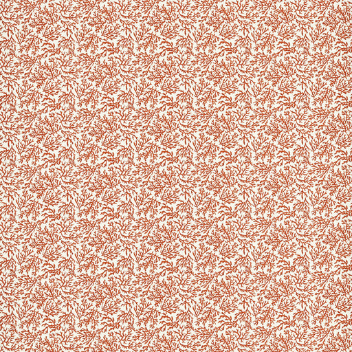 CLARKE AND CLARKE - SEABED- CORAL - Fabric by the Yard CORAL