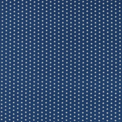 CLARKE AND CLARKE - F1730/04 - SEASTAR - Fabric By the Yard