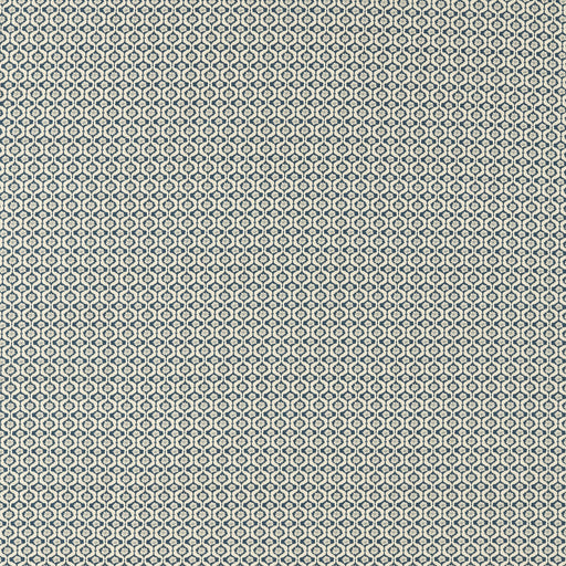 CLARKE AND CLARKE - F1735/02 - GIVERNY - Fabric By the Yard