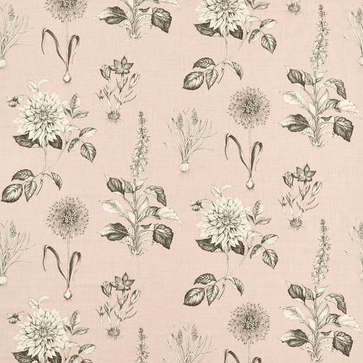 CLARKE AND CLARKE - F1738/01 - ROSERAIE - Fabric By the Yard