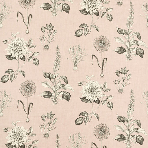 CLARKE AND CLARKE - ROSERAIE - BLUSH - Fabric By The YARD