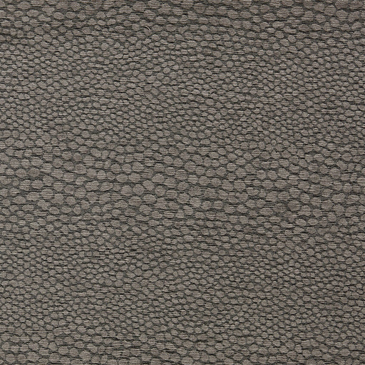 CLARKE AND CLARKE - CASTUS - ESPRESSO - Fabric By The YARD