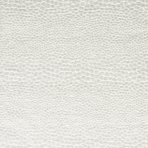 CLARKE AND CLARKE - CASTUS - IVORY - Fabric By The YARD