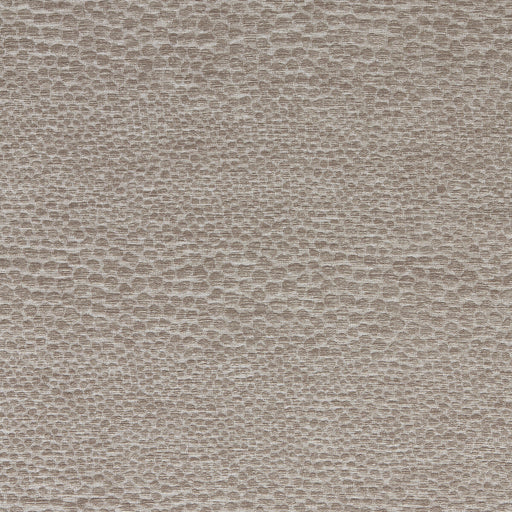 CLARKE AND CLARKE - CASTUS - MINK - Fabric By The YARD