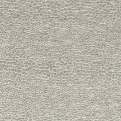 CLARKE AND CLARKE - CASTUS - PEBBLE - Fabric By The YARD