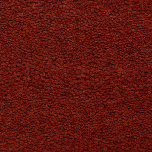 CLARKE AND CLARKE - CASTUS - SPICE - Fabric By The YARD