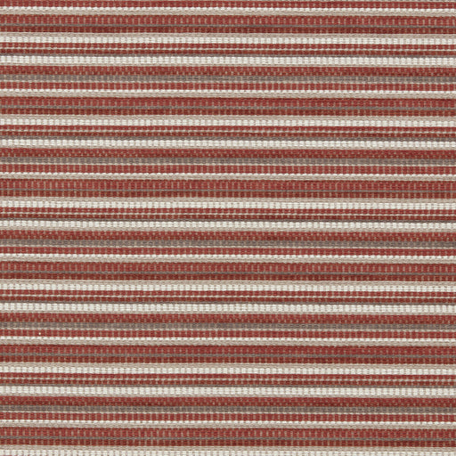 CLARKE AND CLARKE - INTEGER - SPICE - Fabric By The YARD