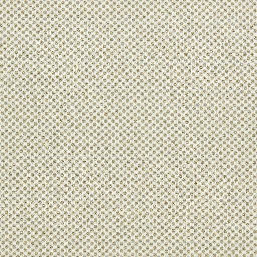 CLARKE AND CLARKE - SOTANO - PALM - Fabric By The YARD