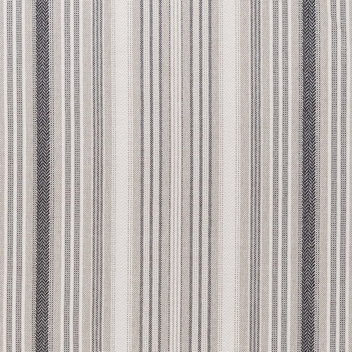 Charlotte - F200-115 - Fabric by the Yard F200-115