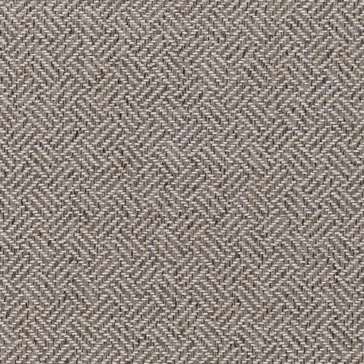 Charlotte - F200-116 - Fabric by the Yard F200-116