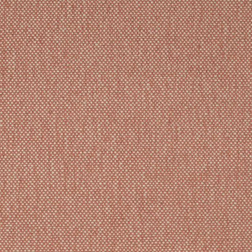Charlotte - F200-161 - Fabric by the Yard F200-161