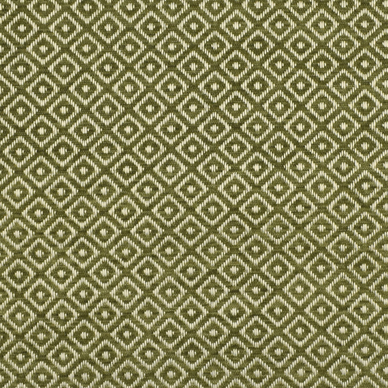 F2815 - Greenhouse - Fabric By The Yard