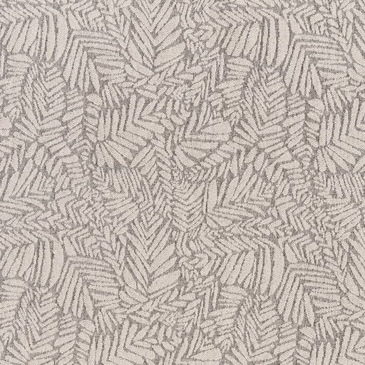 Charlotte - F300-160 - Fabric by the Yard F300-160