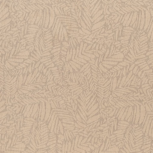 Charlotte - F300-167 - Fabric by the Yard F300-167