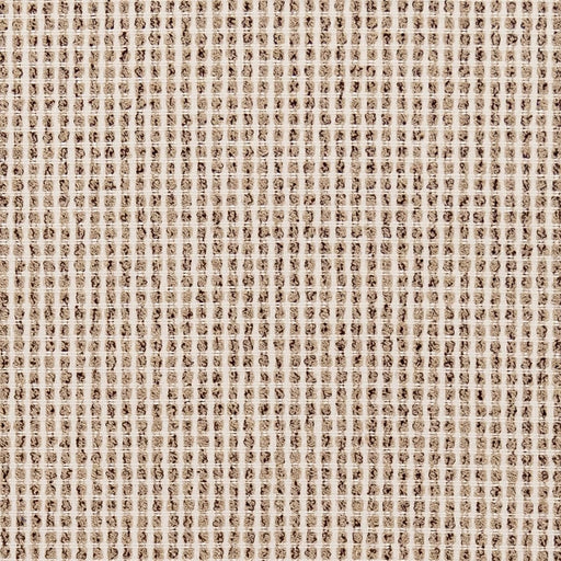 Charlotte - F300-175 - Fabric by the Yard F300-175