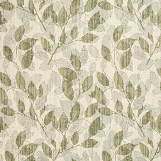 Charlotte - F300-228 - Fabric by the Yard F300-228