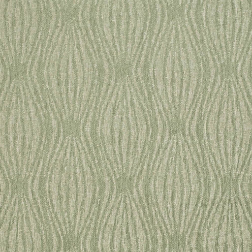 Charlotte - F300-232 - Fabric by the Yard F300-232