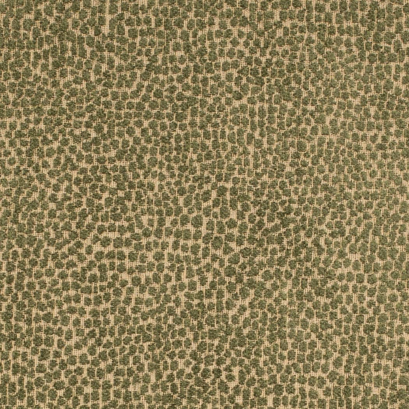 Charlotte - F300-265 - Fabric by the Yard F300-265
