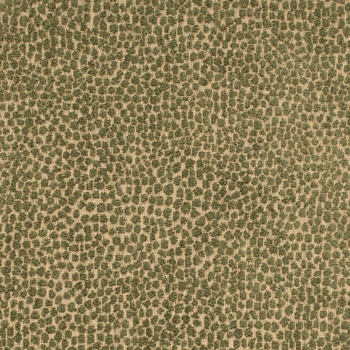 Charlotte - F300-265 - Fabric by the Yard F300-265
