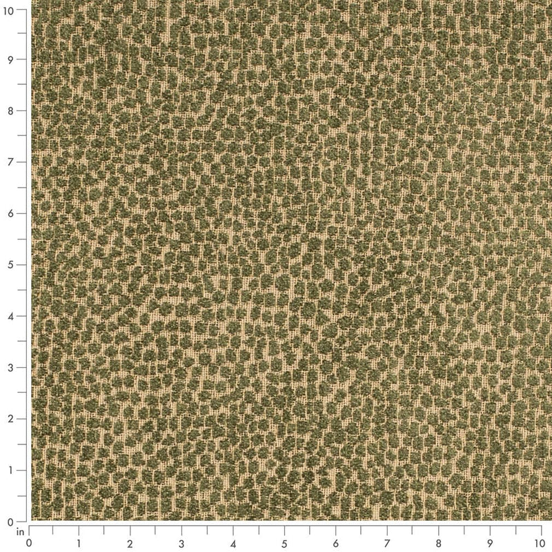 Charlotte - F300-265 - Fabric by the Yard - F300-265 - F300-265_Ruler