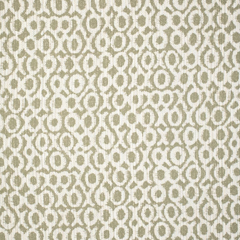 Charlotte - F300-268 - Fabric by the Yard F300-268