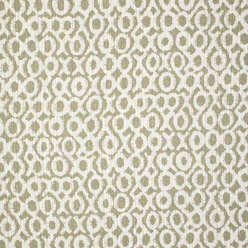 Charlotte - F300-268 - Fabric by the Yard F300-268