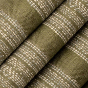Charlotte - F300-269 - Fabric by the Yard - F300-269 - F300-269_Rolled