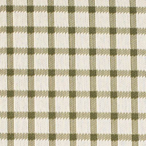 Charlotte - F300-280 - Fabric by the Yard F300-280