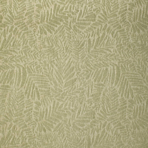 Charlotte - F300-283 - Fabric by the Yard F300-283
