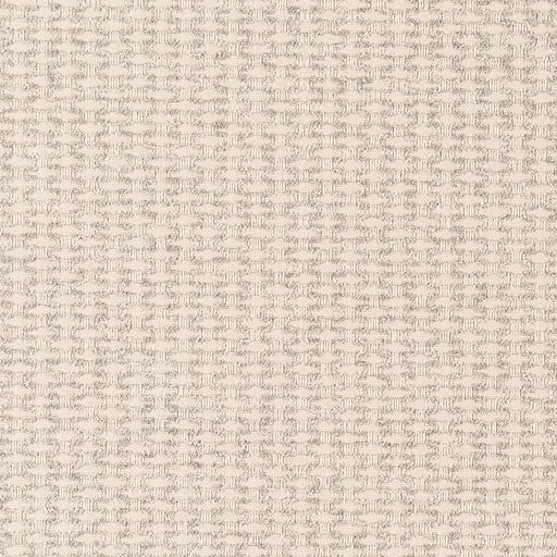 Charlotte - F400-130 - Fabric by the Yard F400-130