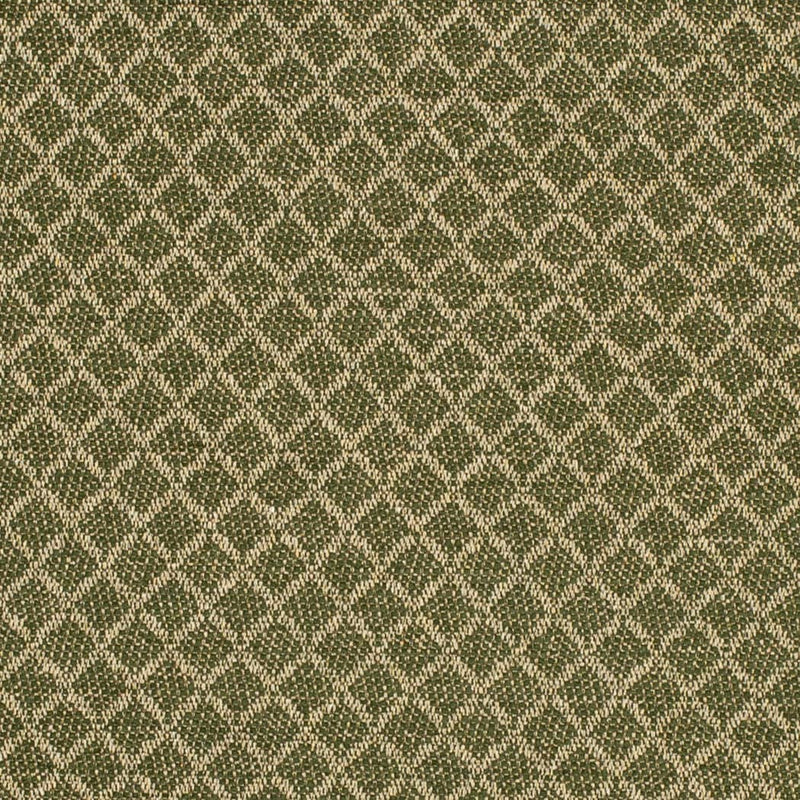 Charlotte - F400-181 - Fabric by the Yard F400-181