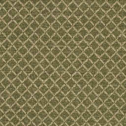 Charlotte - F400-181 - Fabric by the Yard F400-181