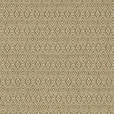 Charlotte - F400-182 - Fabric by the Yard