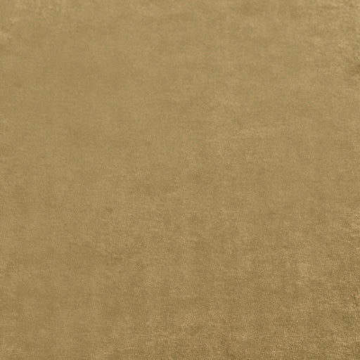 MULBERRY - ROSSINI VELVET- GOLD - Fabric by the Yard GOLD