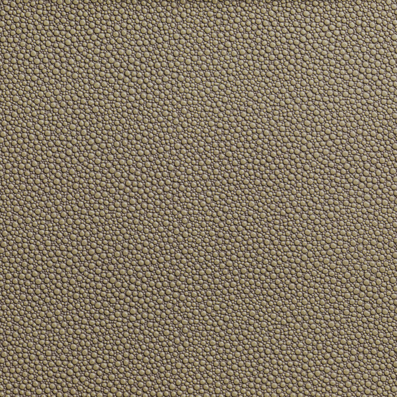 KRAVET CONTRACT - FETCH- HEMP - Fabric by the Yard HEMP