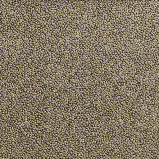 KRAVET CONTRACT - FETCH- HEMP - Fabric by the Yard HEMP