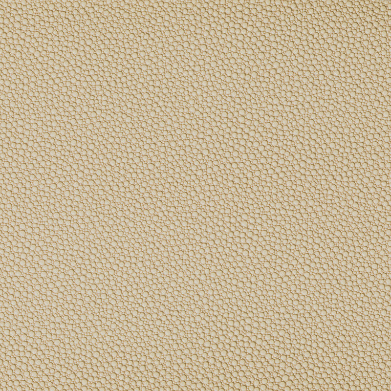 KRAVET CONTRACT - FETCH- SANDBAR - Fabric by the Yard SANDBAR