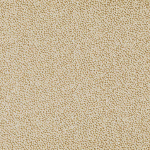 KRAVET CONTRACT - FETCH- SANDBAR - Fabric by the Yard SANDBAR
