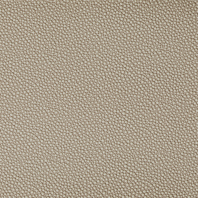 KRAVET CONTRACT - FETCH- STONE - Fabric by the Yard STONE